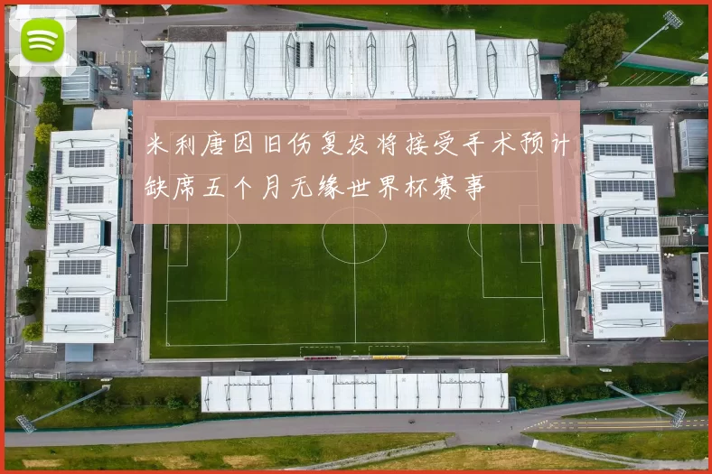 米利唐因旧伤复发将接受手术预计缺席五个月无缘世界杯赛事