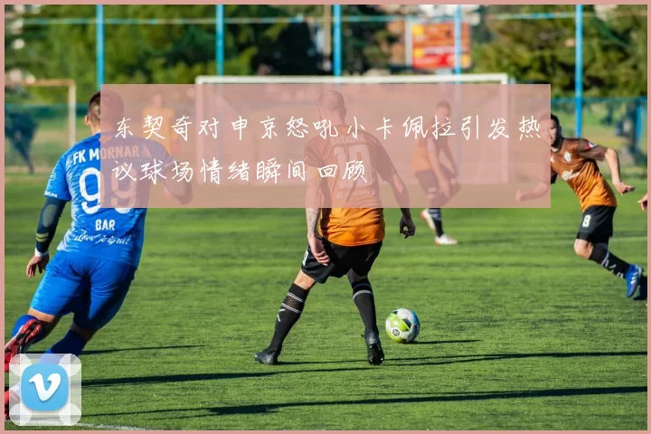 东契奇对申京怒吼小卡佩拉引发热议球场情绪瞬间回顾