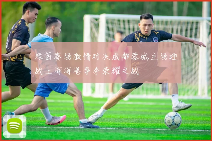 绿茵赛场激情对决成都蓉城主场迎战上海海港争夺荣耀之战